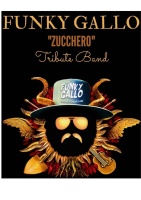 Funky Gallo "ZUCCHERO" - Tribute Band